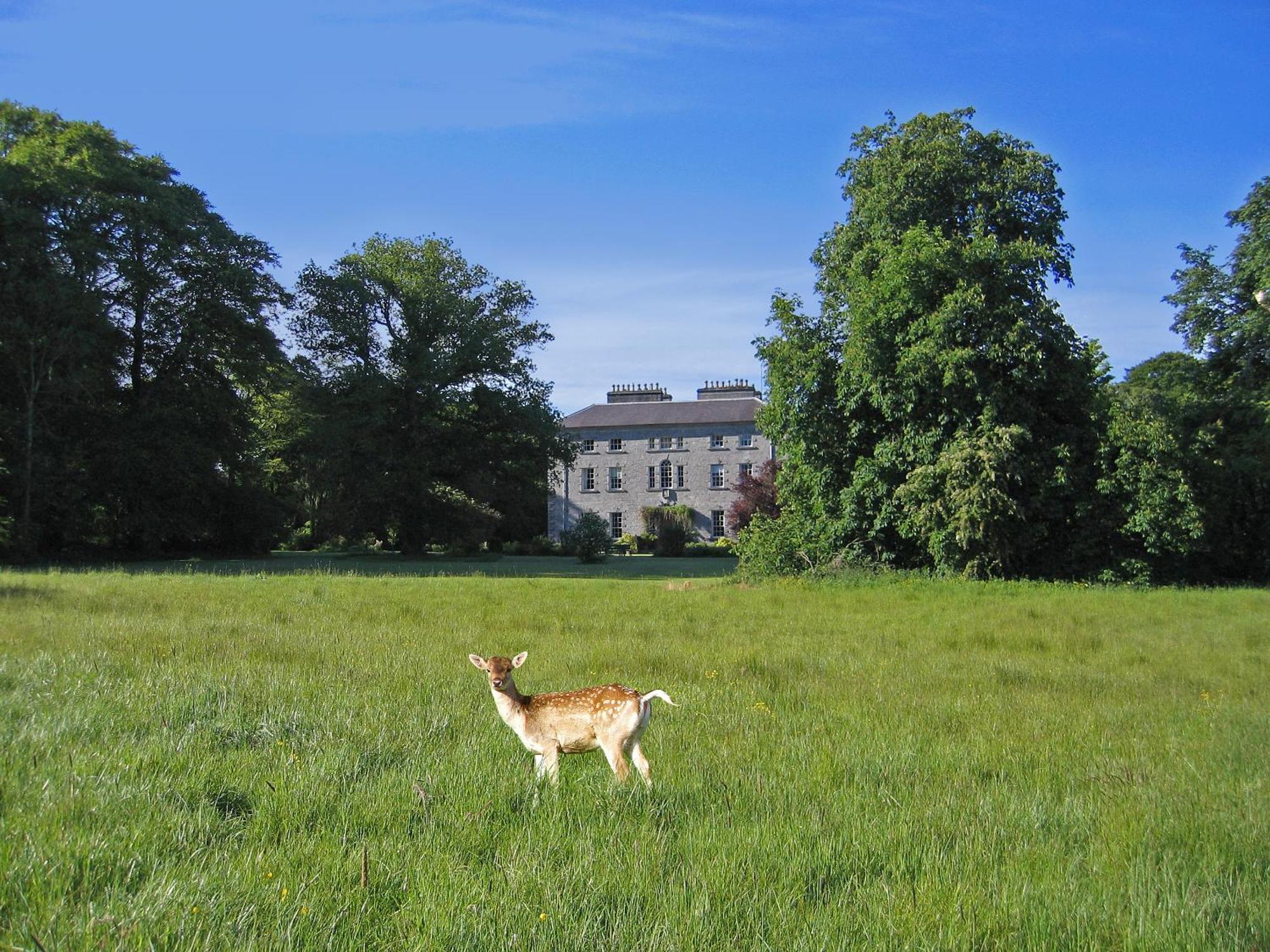 Coopershill House Hotell Riverstown  Eksteriør bilde