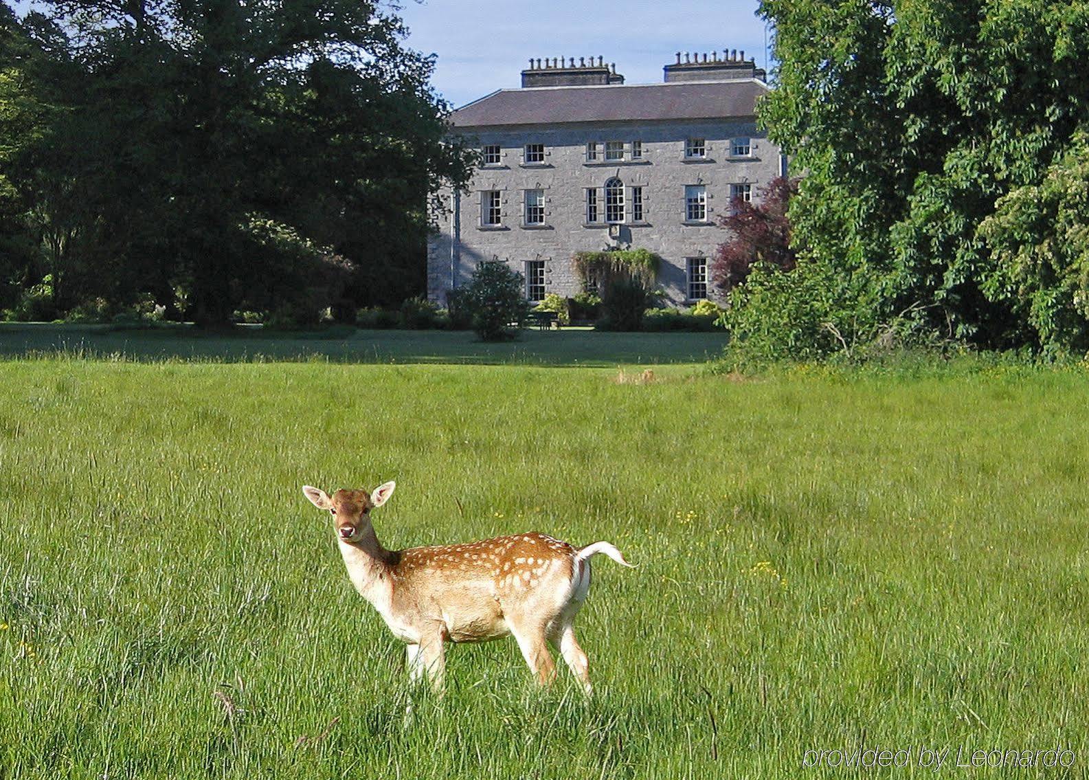 Coopershill House Hotell Riverstown  Eksteriør bilde